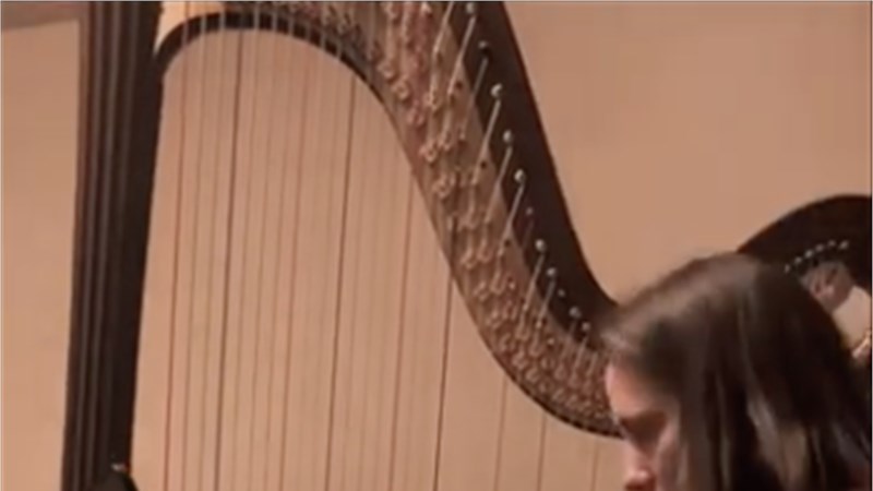 La vita è bella - Harp Demo