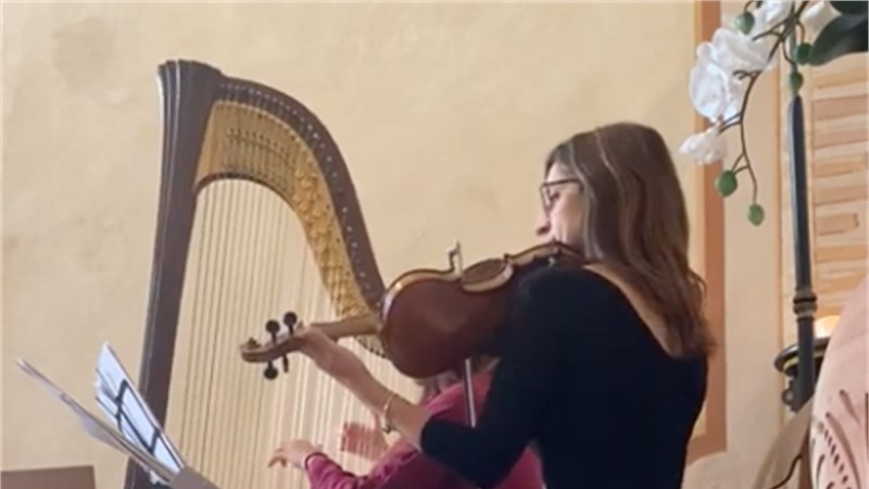 Harp and violin - Hallelujah cover