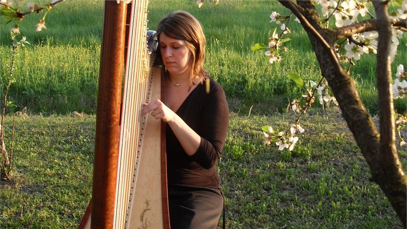 aperitivi 3  copia.JPG