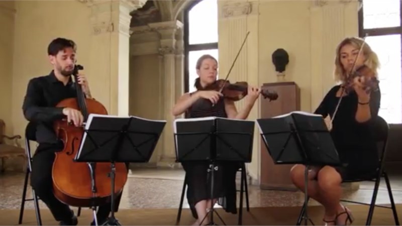 VIDEO 3