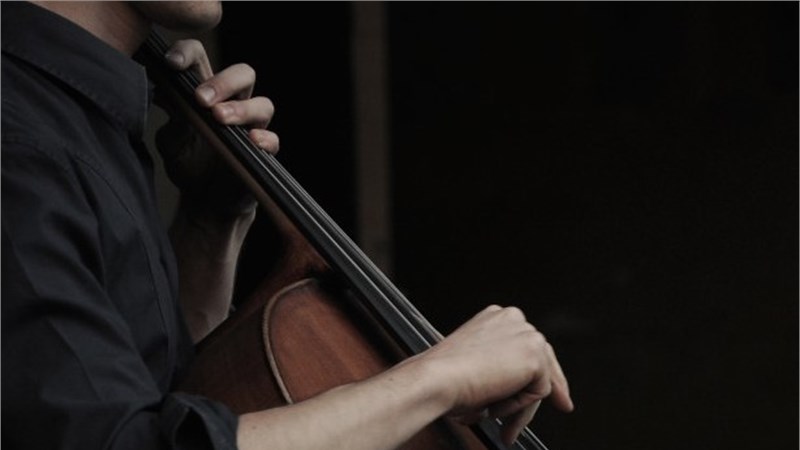 cello-2-1024x426 copia.jpg