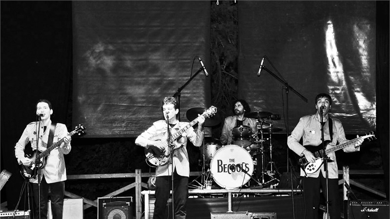 The Becools live.jpg