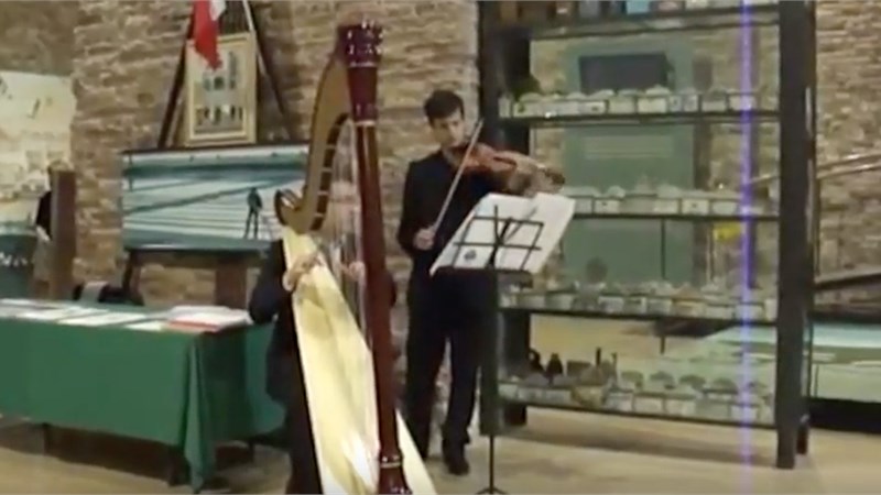 VIDEO 2