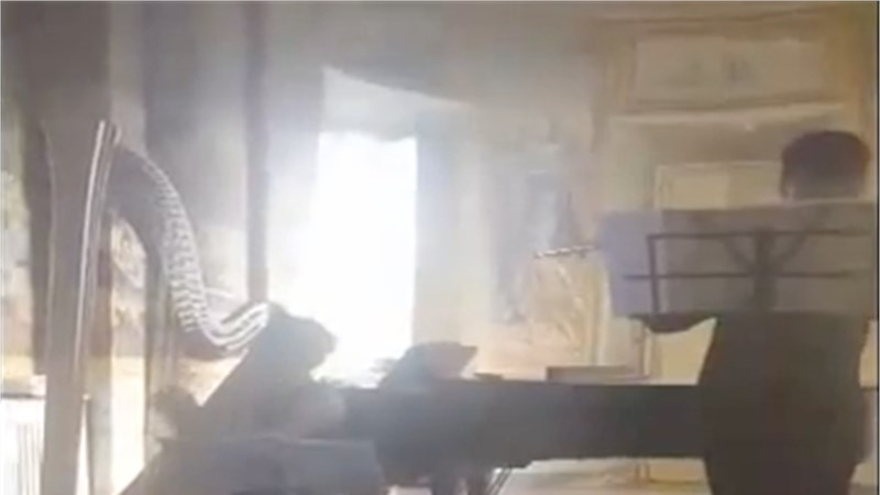 VIDEO ARPA -FLAUTO