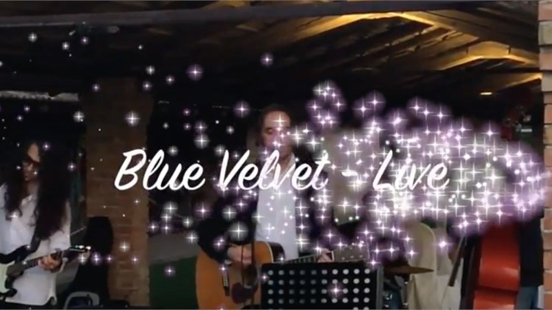 BLUE VELVET - LIVE VIDEO