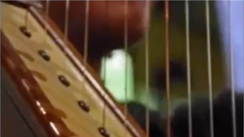 VIDEO 2