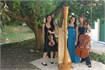 Quartetto d'Archi Padova