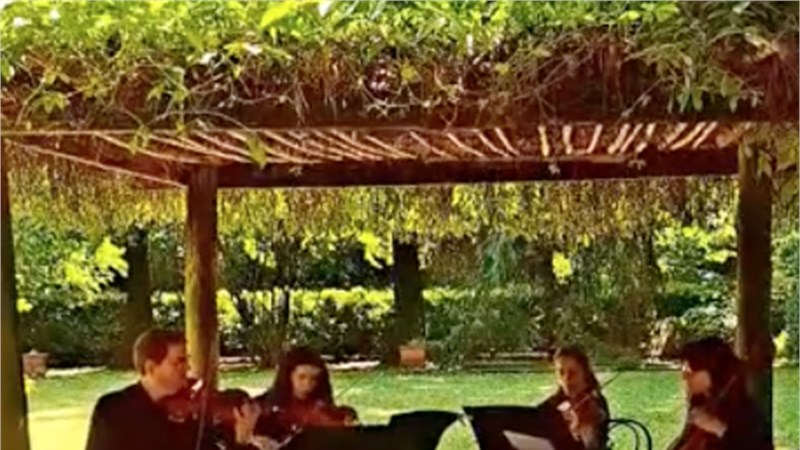 Padua Live Strings