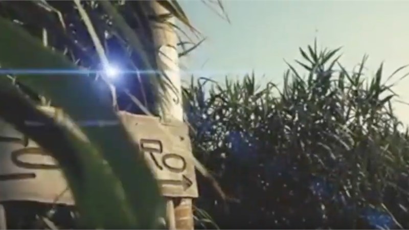 VIDEO 4