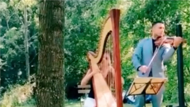 CANONE DI PACHELBEL - ARPA E VIOLINO