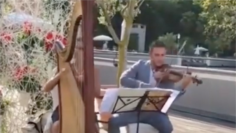 Perfect - Ed Sheeran - ARPA E VIOLINO