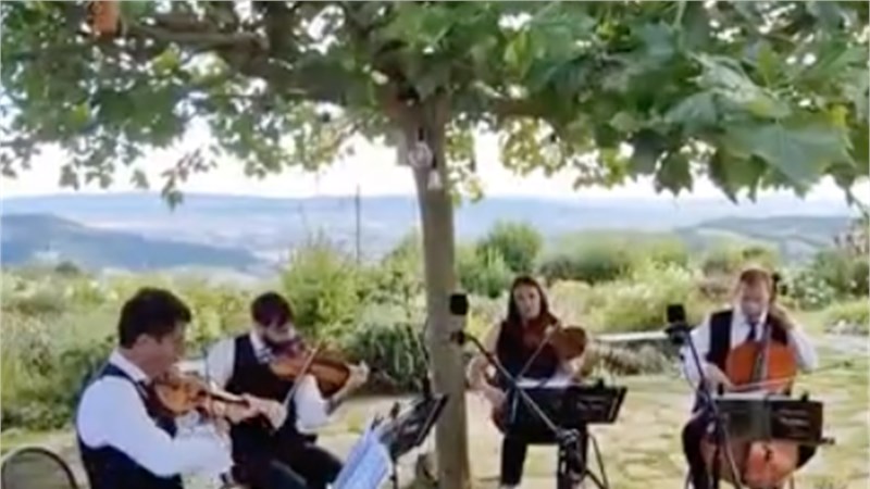 STRING QUARTET - Live in Montepulciano