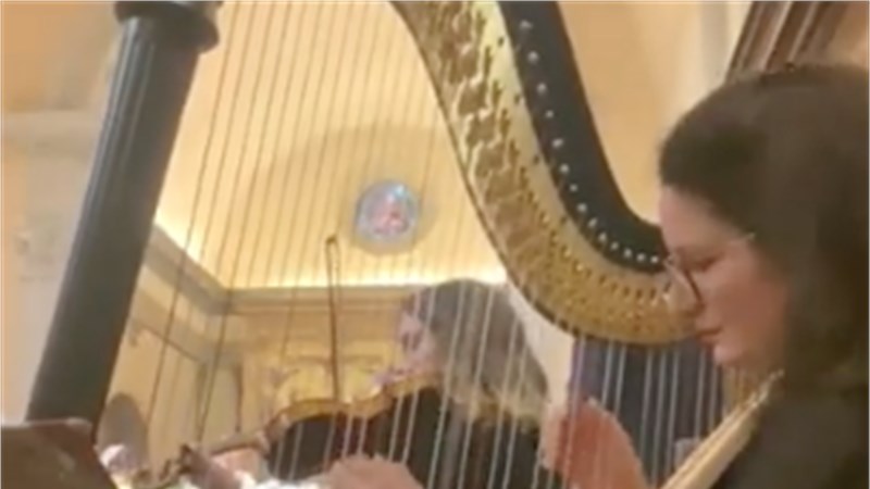 DUO HARP AND VIOLIN IN FLORENCE