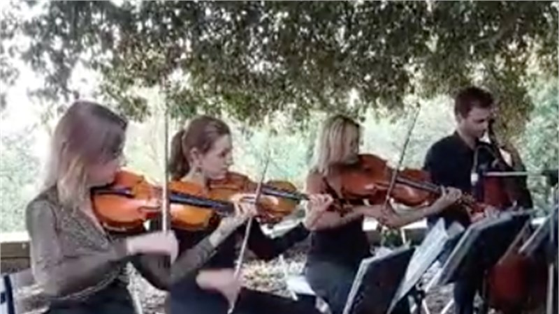FLORENCE CLASSICAL STRING QUARTET
