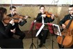 String Quartet in Sicily