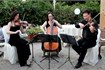 String Quartet in Sicily