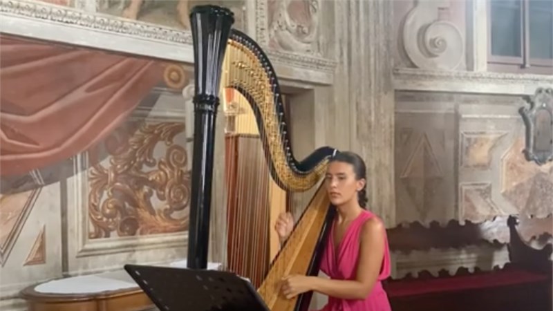 Perfect -Ed Sheeran with Harp