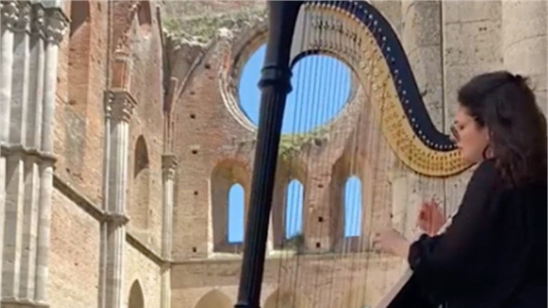 ETRURIA HARP AND VIOLIN