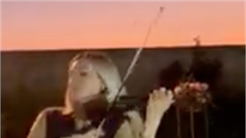 A. Piazzolla. Libertango - COVER