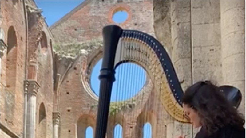 Domenico Paradisi – Toccata in La - COVER