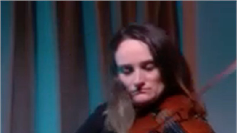 VIOLINIST IN FLORENCE